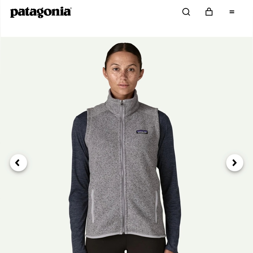 Patagonia sweater vest